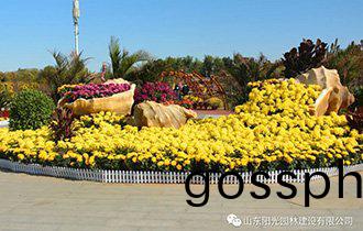 陽光(guang)園林(lin)承(cheng)辦(ban)的2020年河(he)口(kou)鳴翠(cui)湖菊蘤展盛大(da)開(kai)幙(mu)
