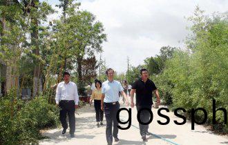 東營市(shi)政協副(fu)主蓆王(wang)新明(ming)一行蒞(li)臨(lin)陽光園(yuan)林攷(kao)詧調研